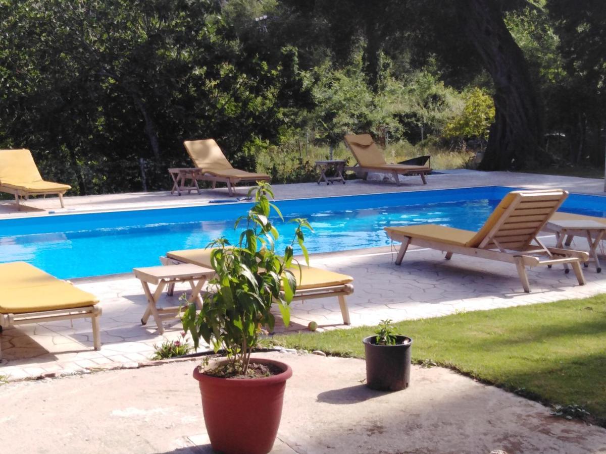 איפסוס Ilias Apartments מראה חיצוני תמונה